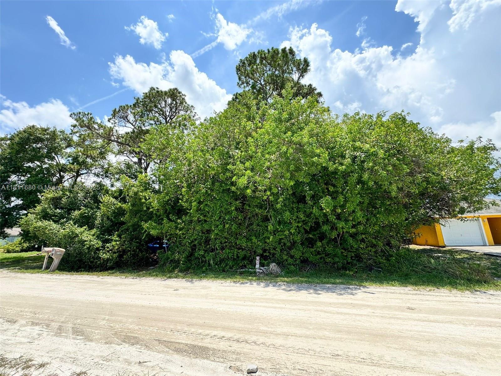 A dirt road leads to a dense cluster of trees and shrubs beside a house — 1225 SW 12th Ct SW, Vero Beach FL 32962, VERO BEACH, FL