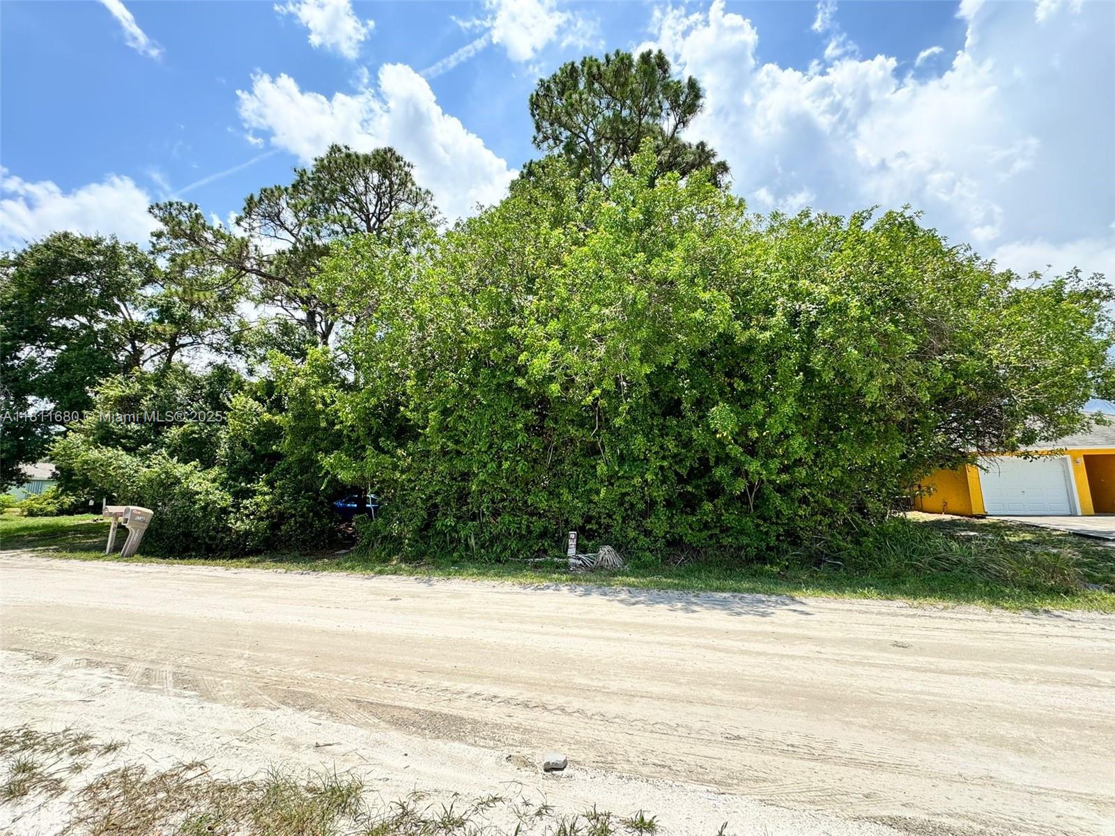 A dirt road leads to a large, dense green bush in front of a yellow house — 1225 SW 12th Ct SW, Vero Beach FL 32962, VERO BEACH, FL