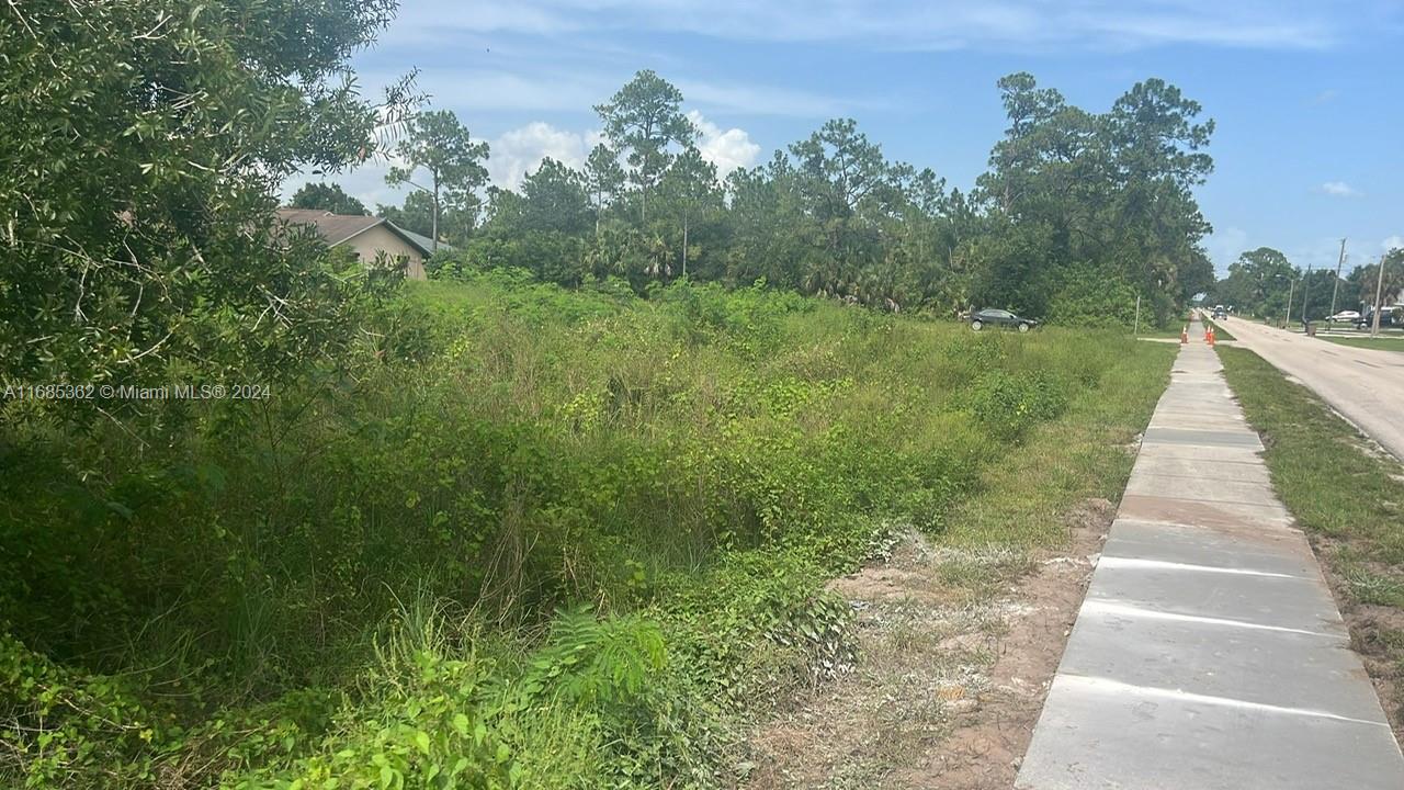 A vacant, overgrown lot sits beside a concrete sidewalk along a paved road — 805 E 6 st, Lehigh Acres FL 33972, LEHIGH ACRES, FL