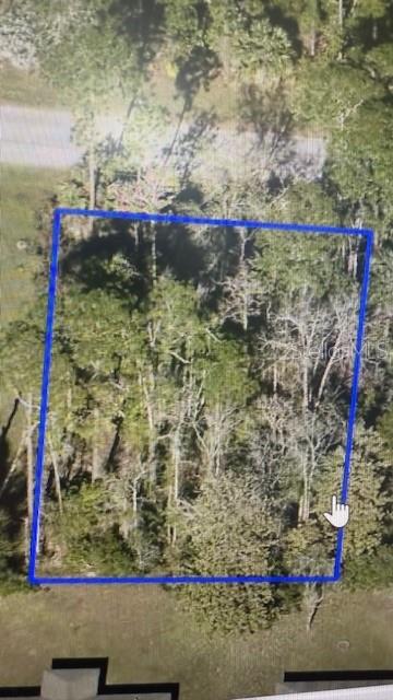 An aerial view shows a rectangular, wooded lot outlined in blue next to a road — 10 POINDEXTER LANE, PALM COAST, FL