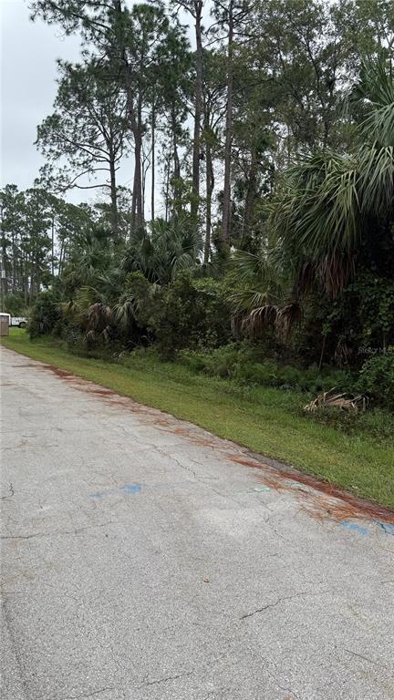 A paved road runs alongside a wooded lot with tall pine trees and palmetto bushes — 10 POINDEXTER LANE, PALM COAST, FL