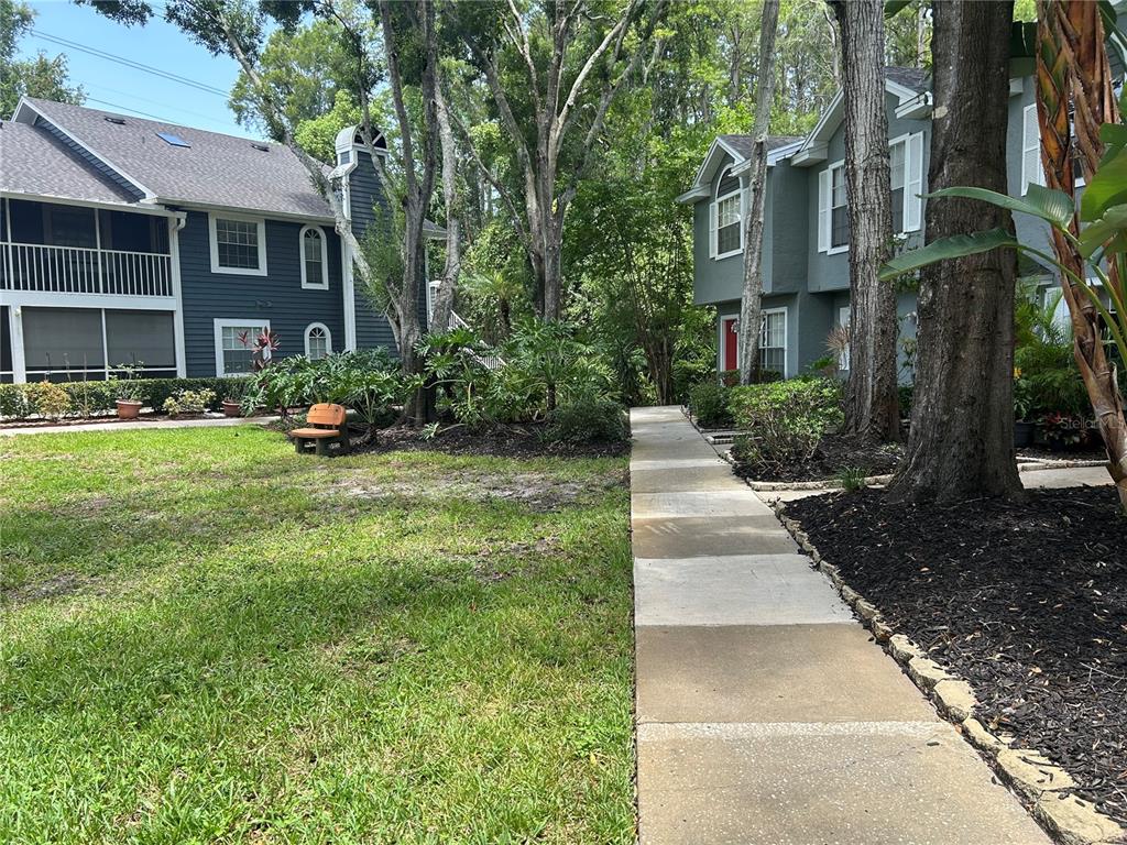 A sidewalk leads between two multi-story residential buildings surrounded by trees and landscaping — 2143 FOX CHASE BOULEVARD, PALM HARBOR, FL