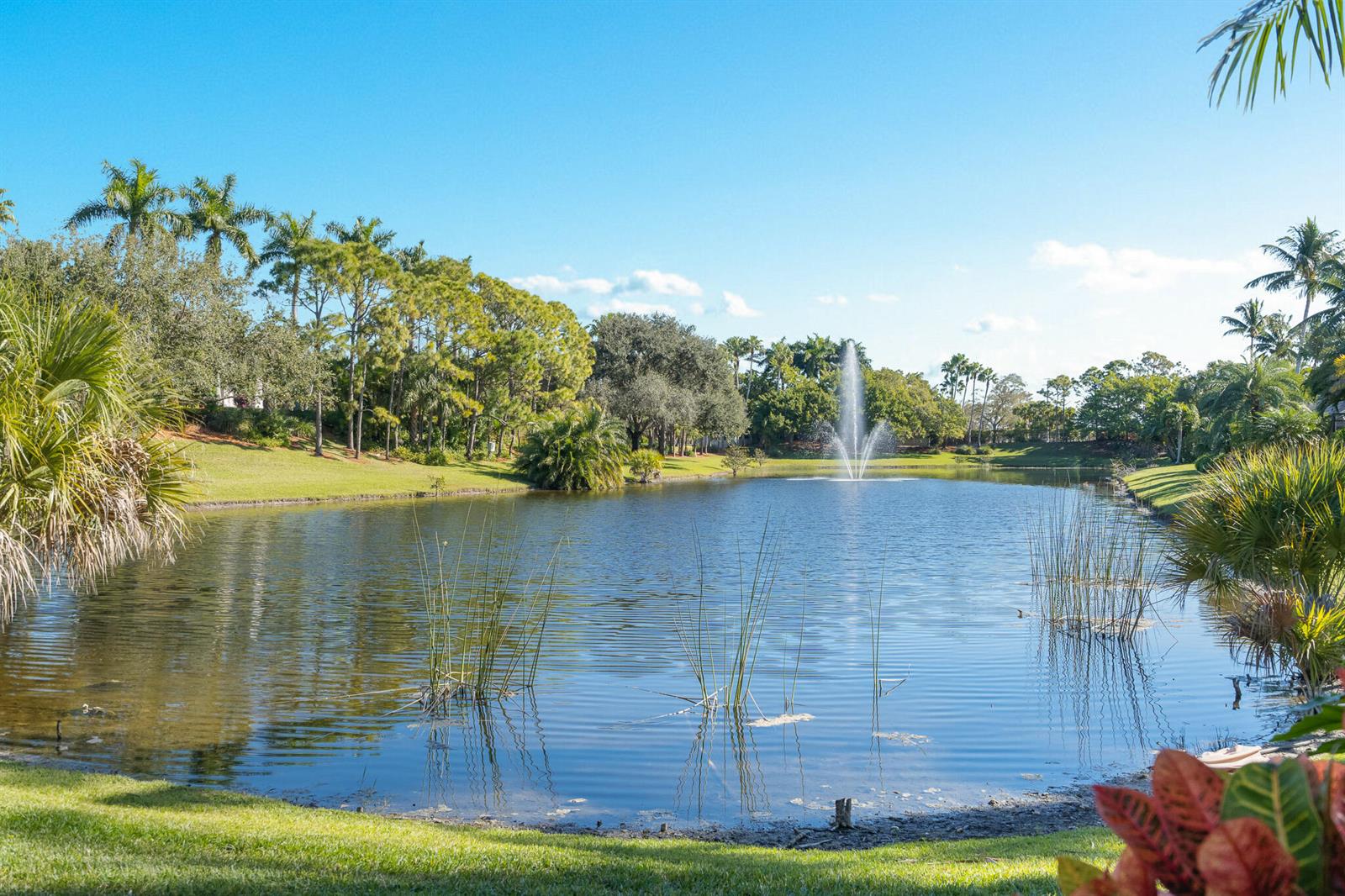 A pond with a fountain is surrounded by green grass and various palm trees — 19434 Estuary Drive, Boca Raton FL 33498, BOCA RATON, FL