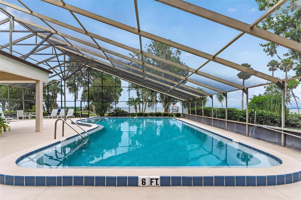 A screened-in swimming pool with a six-foot depth marker overlooks a lake with palm trees — 402 CLUSTERWOOD DRIVE, YALAHA, FL