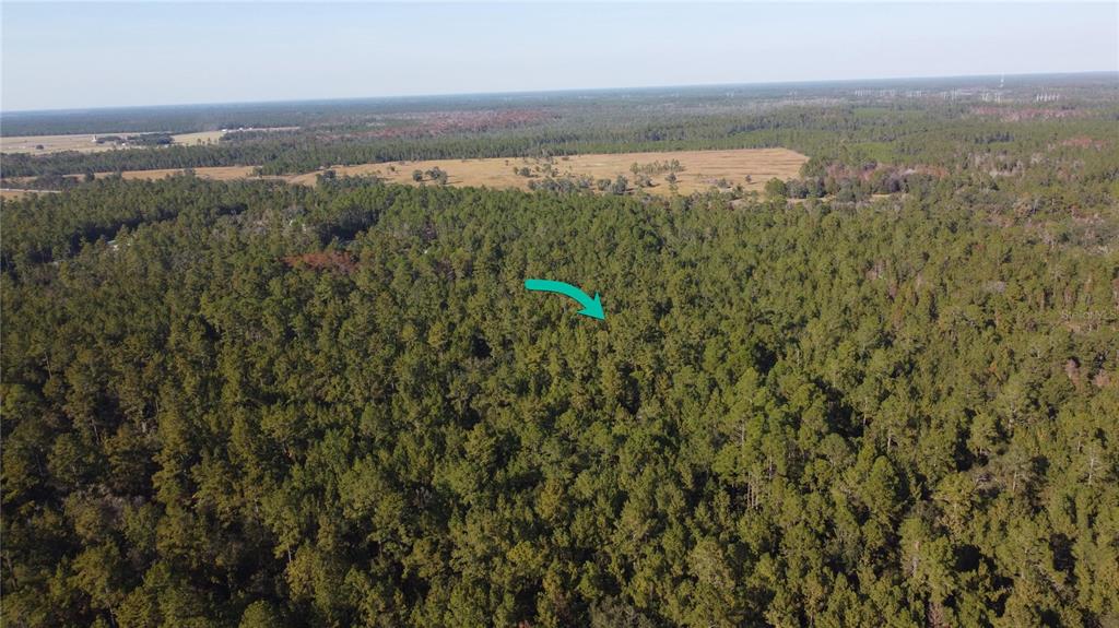 4619 STATE HWY 100 W, BUNNELL, FL — photo 3 of 6