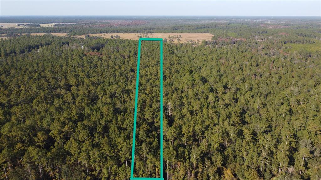 4619 STATE HWY 100 W, BUNNELL, FL — photo 5 of 6