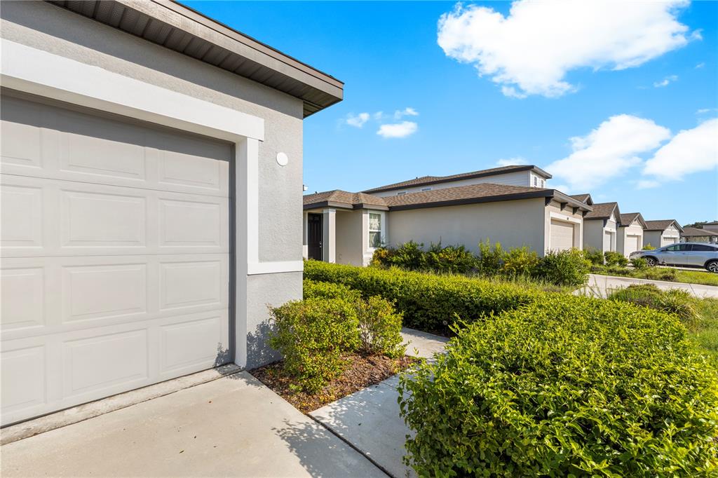 A view of a grey garage door and a walkway lined with bushes beside houses — 34799 TELLURIDE LANE, ZEPHYRHILLS, FL
