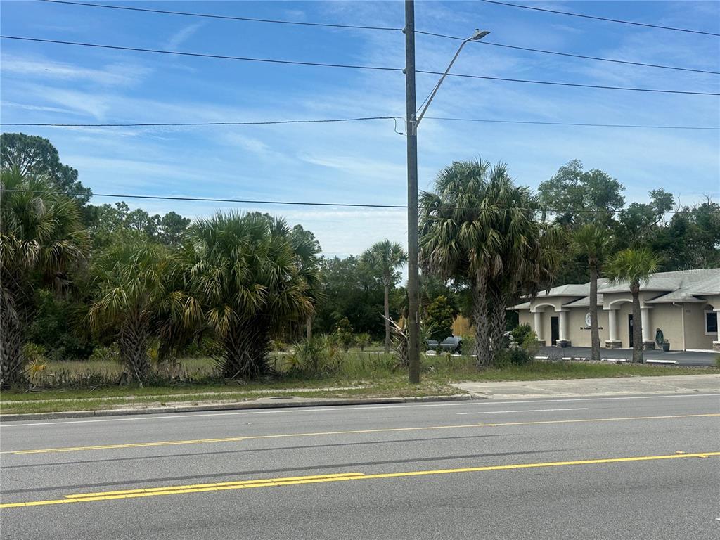 A vacant, grassy lot with several palm trees sits next to a single-story commercial building — 950 NE 5TH STREET, CRYSTAL RIVER, FL