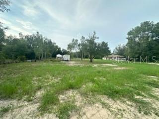 A grassy, partially wooded lot features a small trailer and a distant house in the background — NW 56TH COURT, OCALA, FL