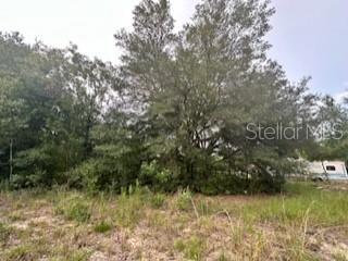 A grassy, wooded lot features large mature trees and a parked recreational vehicle — NW 56TH COURT, OCALA, FL