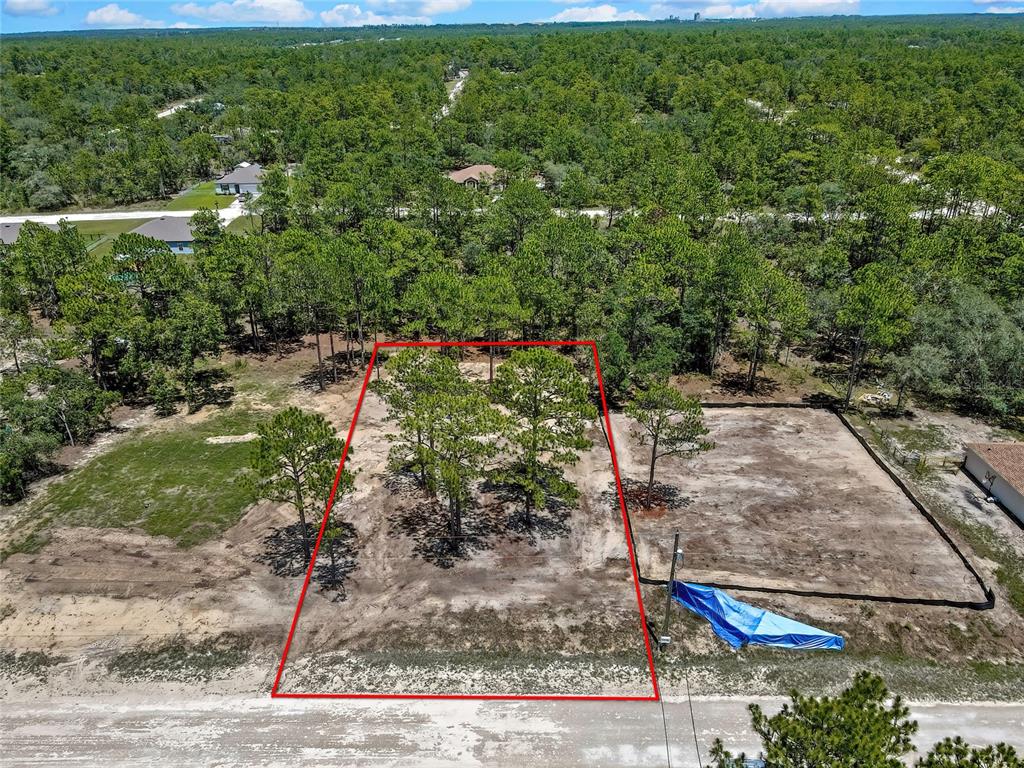 An aerial view shows a cleared, rectangular residential lot outlined in red with several trees — 16116 MEDRICK ROAD, BROOKSVILLE, FL