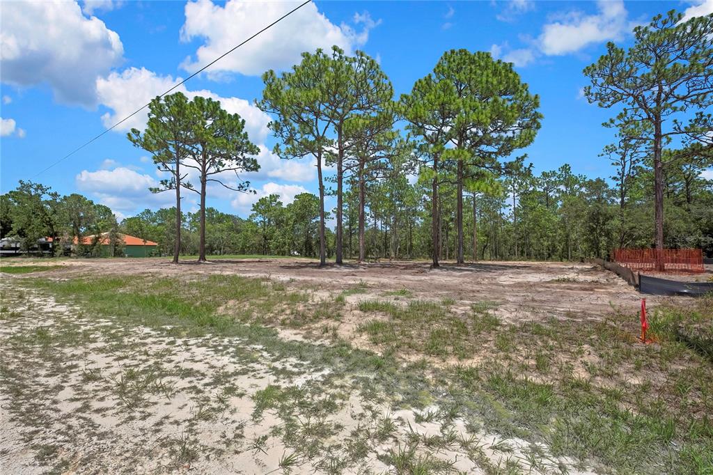 A vacant, sandy residential lot features several tall pine trees under a blue sky — 16116 MEDRICK ROAD, BROOKSVILLE, FL