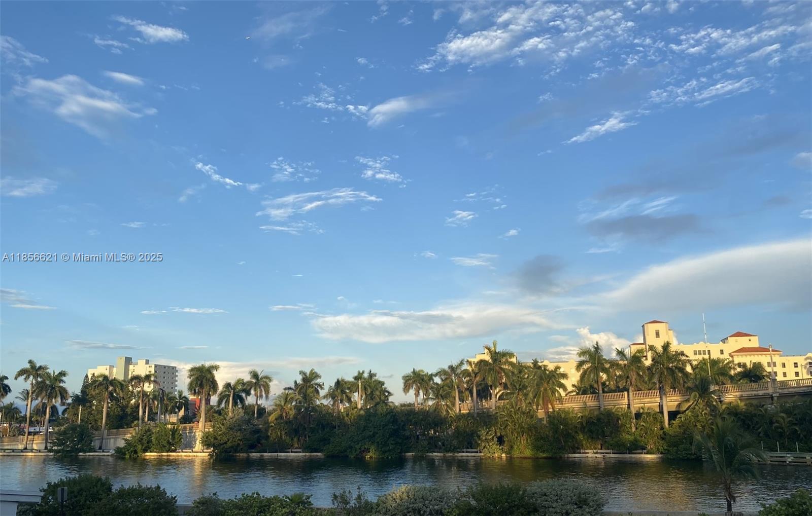 A view of a canal lined with palm trees and buildings under a blue sky — 701 Hollywood Blvd # 701, Hollywood FL 33019, HOLLYWOOD, FL
