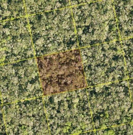 MAYTOWN RD, OAK HILL, FL — photo 2 of 5