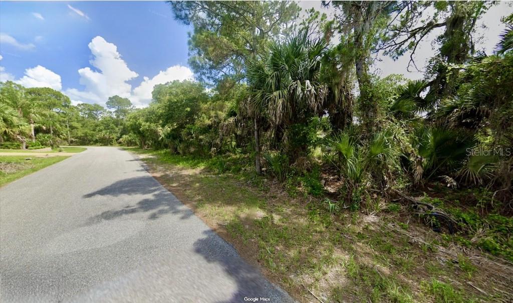 A paved road curves past a wooded lot filled with palm trees and dense vegetation — ISAAC LANE, NORTH PORT, FL