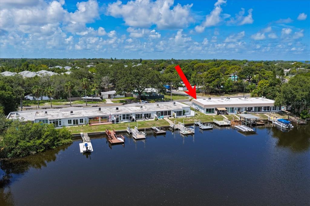 599 WESTWINDS DRIVE, PALM HARBOR, FL — photo 2 of 24