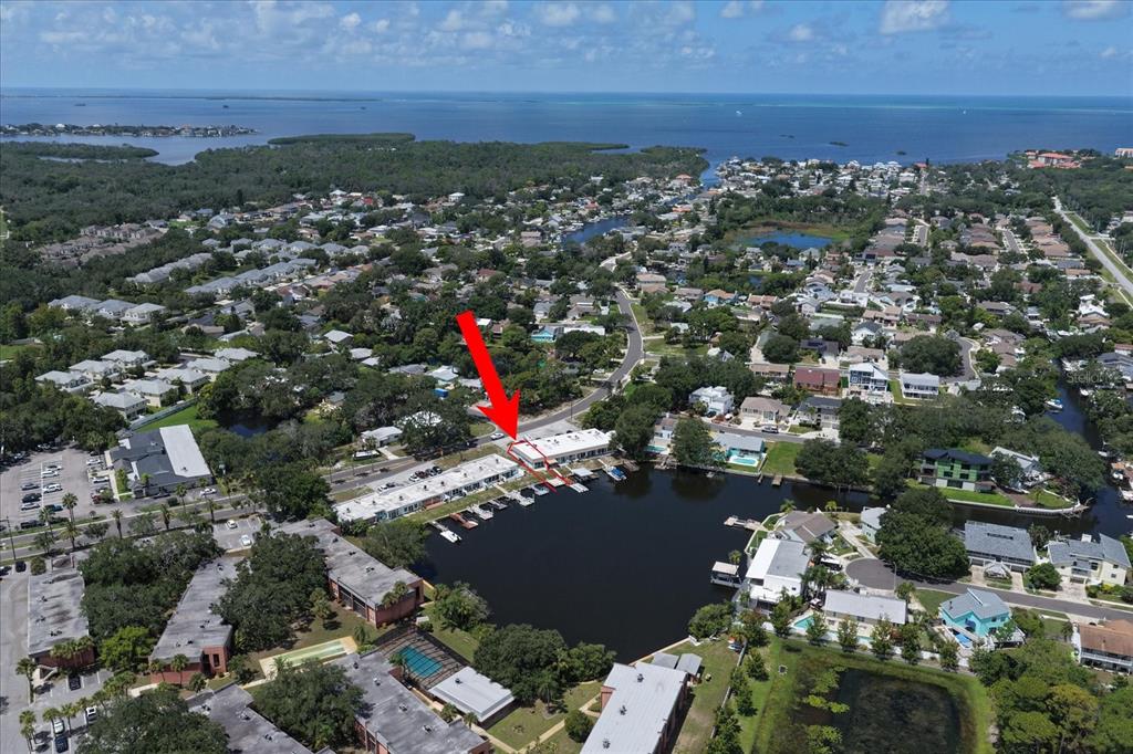 599 WESTWINDS DRIVE, PALM HARBOR, FL — photo 3 of 24