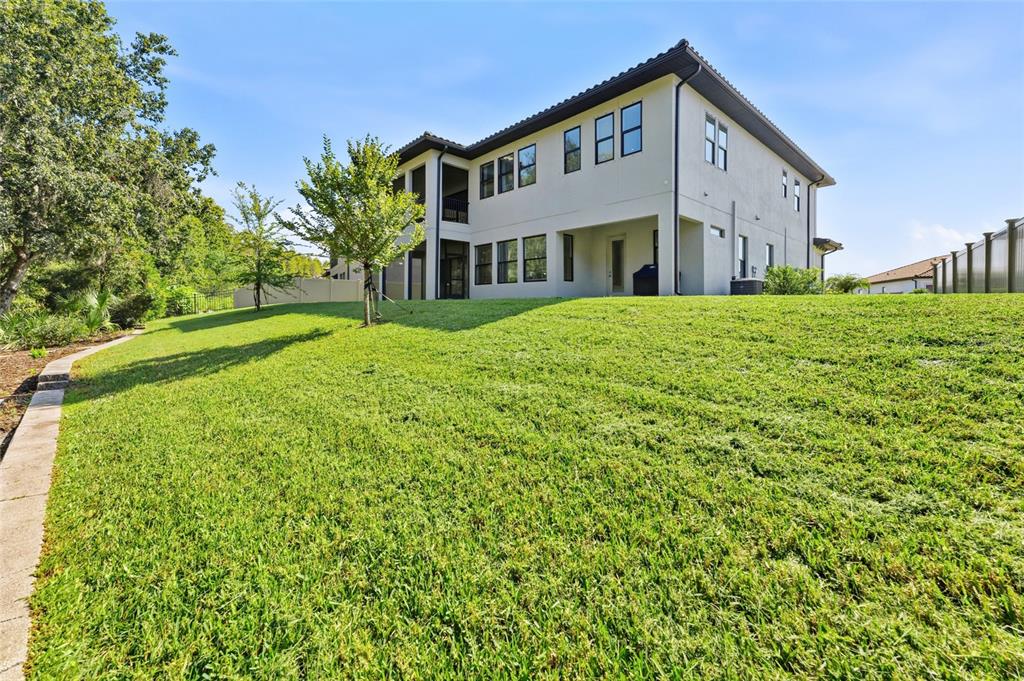 The exterior of a two-story house with a large grassy backyard and a concrete walkway — 29818 PICANA LANE, WESLEY CHAPEL, FL