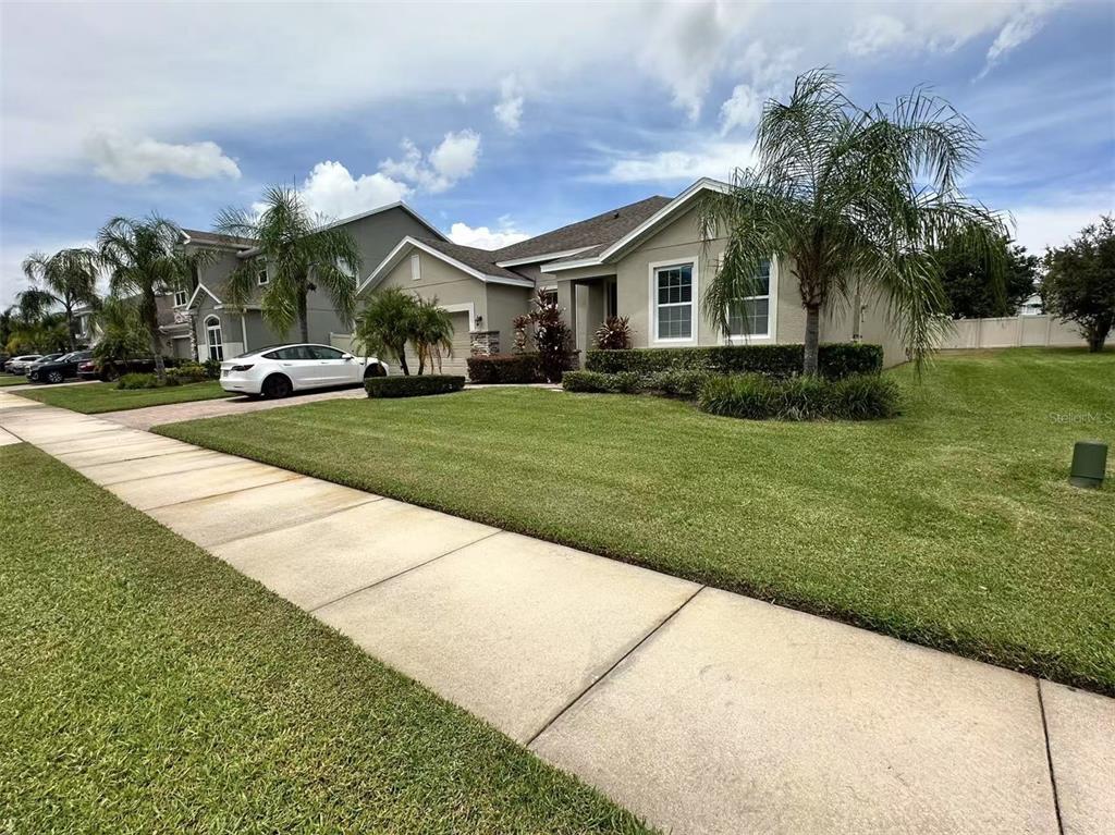 A single-story suburban house with a tan exterior, a manicured lawn, and palm trees — 14517 BLACK LAKE PRESERVE STREET, WINTER GARDEN, FL