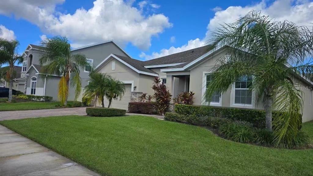 A single-story suburban house with a tan stucco exterior, a two-car garage, and palm trees — 14517 BLACK LAKE PRESERVE STREET, WINTER GARDEN, FL
