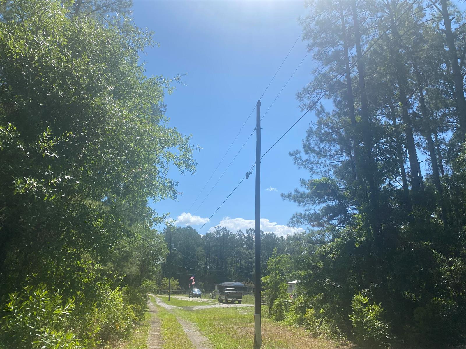 A dirt driveway leads toward a house surrounded by trees under a bright sunny sky — Tbd NE 155 Lane, FL 32134, FL