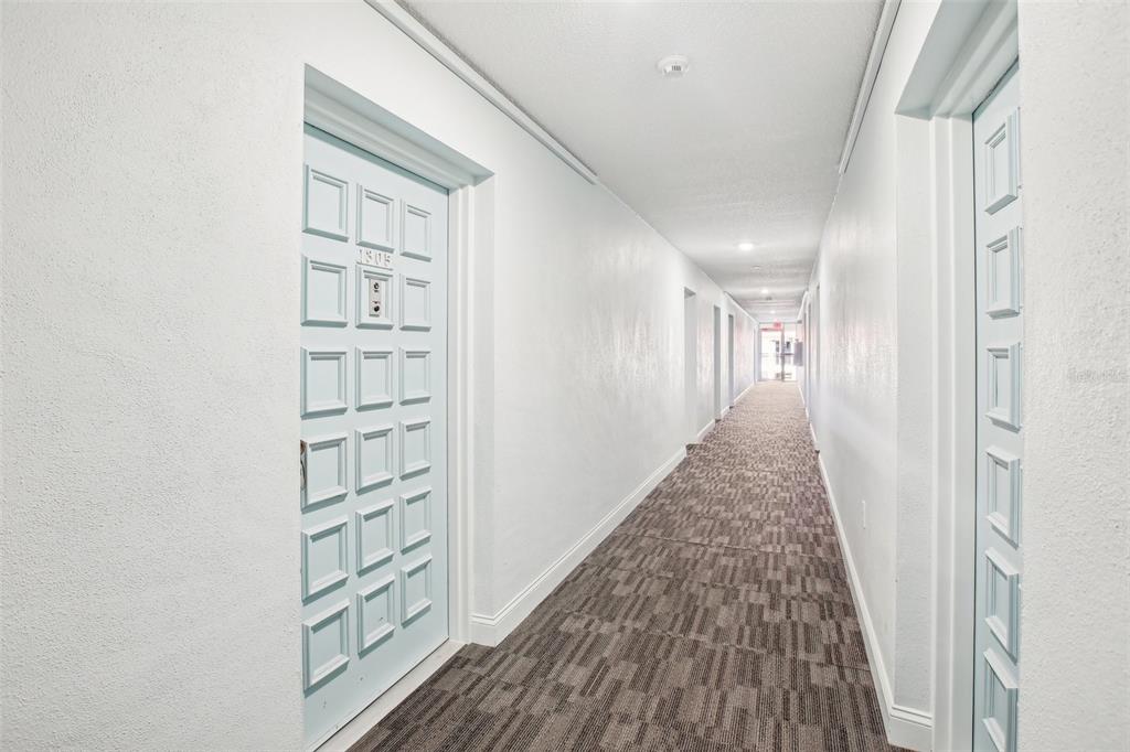 A long, narrow apartment hallway features light blue doors, white walls, and patterned carpet flooring — 2700 BAYSHORE BOULEVARD UNIT 1305, DUNEDIN, FL