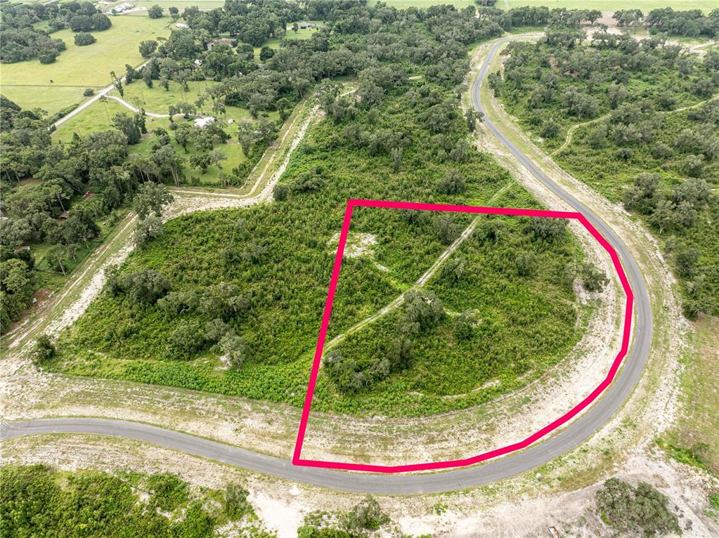 An aerial view shows a vacant, wooded lot outlined in pink along a curved road — 1459 OXFORD PRESERVE TRL, OXFORD, FL