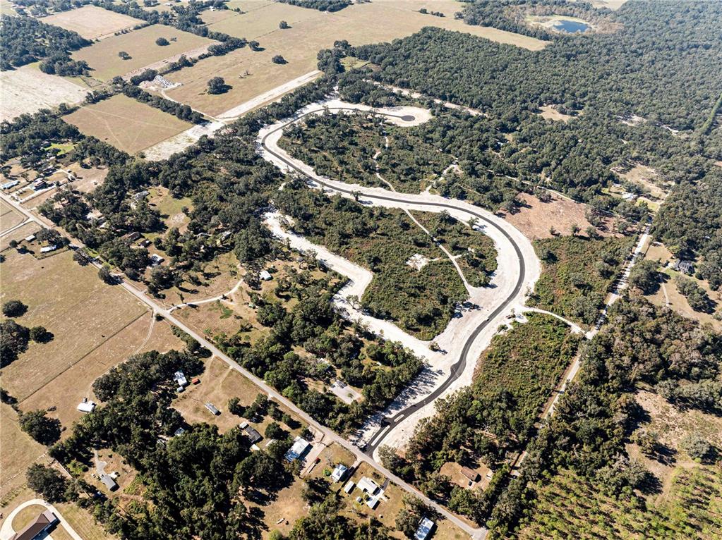 An aerial view shows a newly paved road winding through a wooded residential development site — 1459 OXFORD PRESERVE TRL, OXFORD, FL