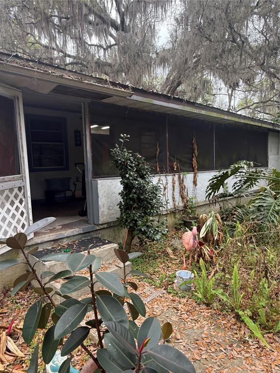 A covered porch with screen walls and concrete steps sits beneath large, moss-covered trees — 1730 S PALM AVENUE, HOMOSASSA, FL