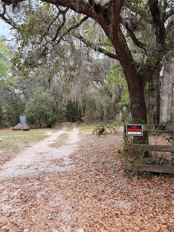 A dirt driveway leads into a wooded area past a wooden fence with a sign — 1730 S PALM AVENUE, HOMOSASSA, FL