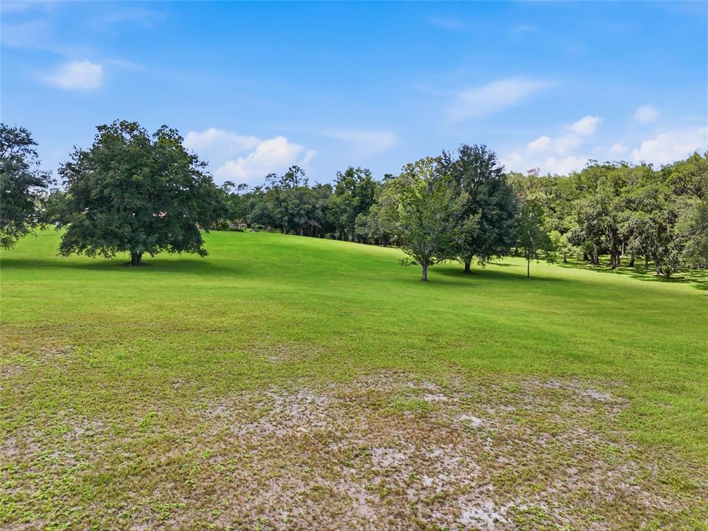 A large, grassy field features scattered mature trees under a bright blue sky — 4875 SW COUNTY ROAD 240, LAKE CITY, FL