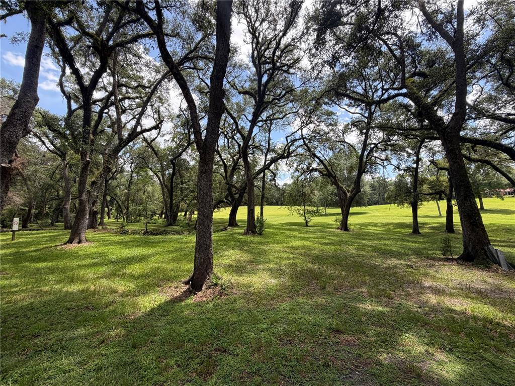 A grassy, tree-filled lot with mature oak trees under a bright, partly cloudy sky — 4875 SW COUNTY ROAD 240, LAKE CITY, FL