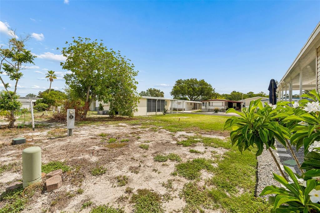 A view of a sandy yard with sparse grass, trees, and neighboring mobile homes — 9790 66TH STREET N UNIT 210, PINELLAS PARK, FL