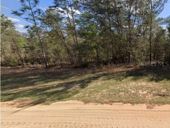 UNASSIGNED RD, INTERLACHEN, FL — photo 2 of 6
