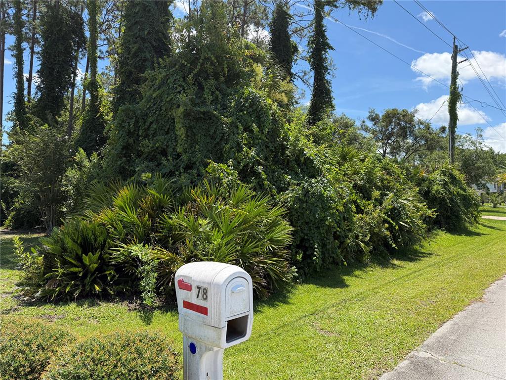 A white mailbox labeled 78 stands in front of a dense, overgrown area of trees and shrubs — 76 BARRINGTON DRIVE, PALM COAST, FL