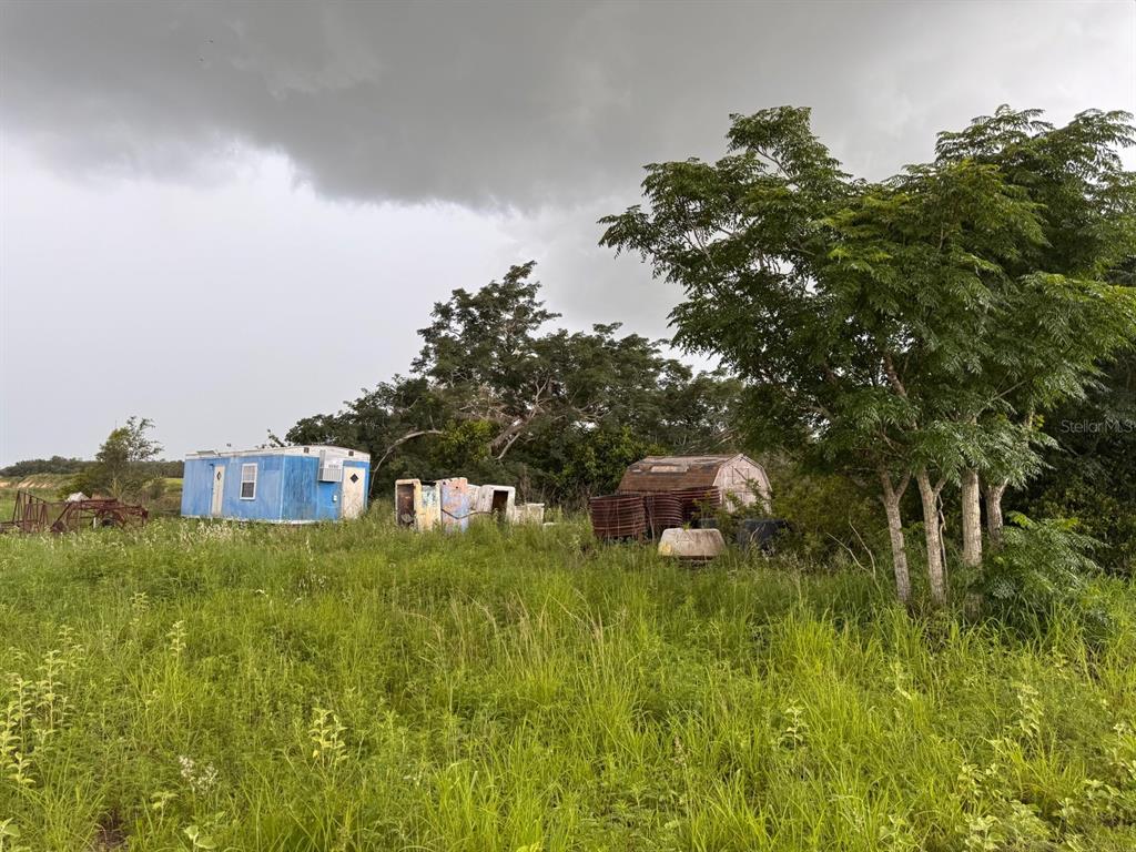 A blue mobile home and a small shed sit in a field of tall grass — 4011 E ROBINSON DRIVE, HAINES CITY, FL