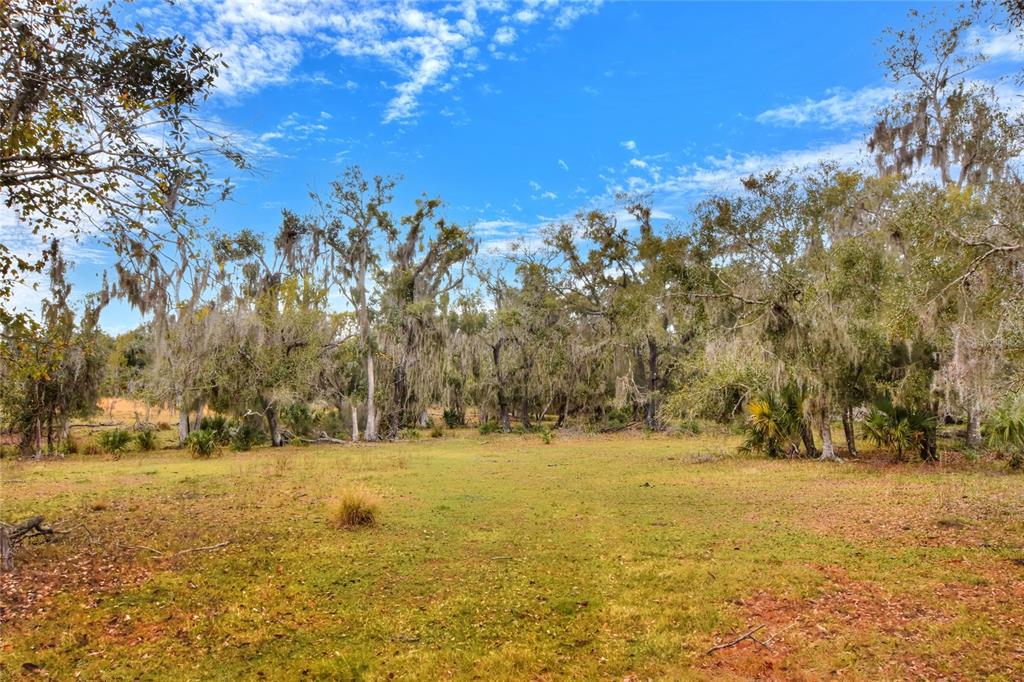 COLDING LOOP, WIMAUMA, FL — photo 3 of 4