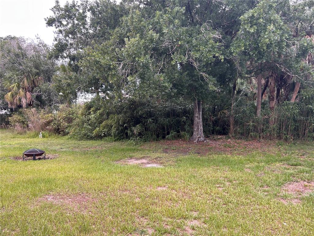A grassy yard features a fire pit and a large tree backed by dense foliage — 2514 AFFINITY LANE, NORTH PORT, FL