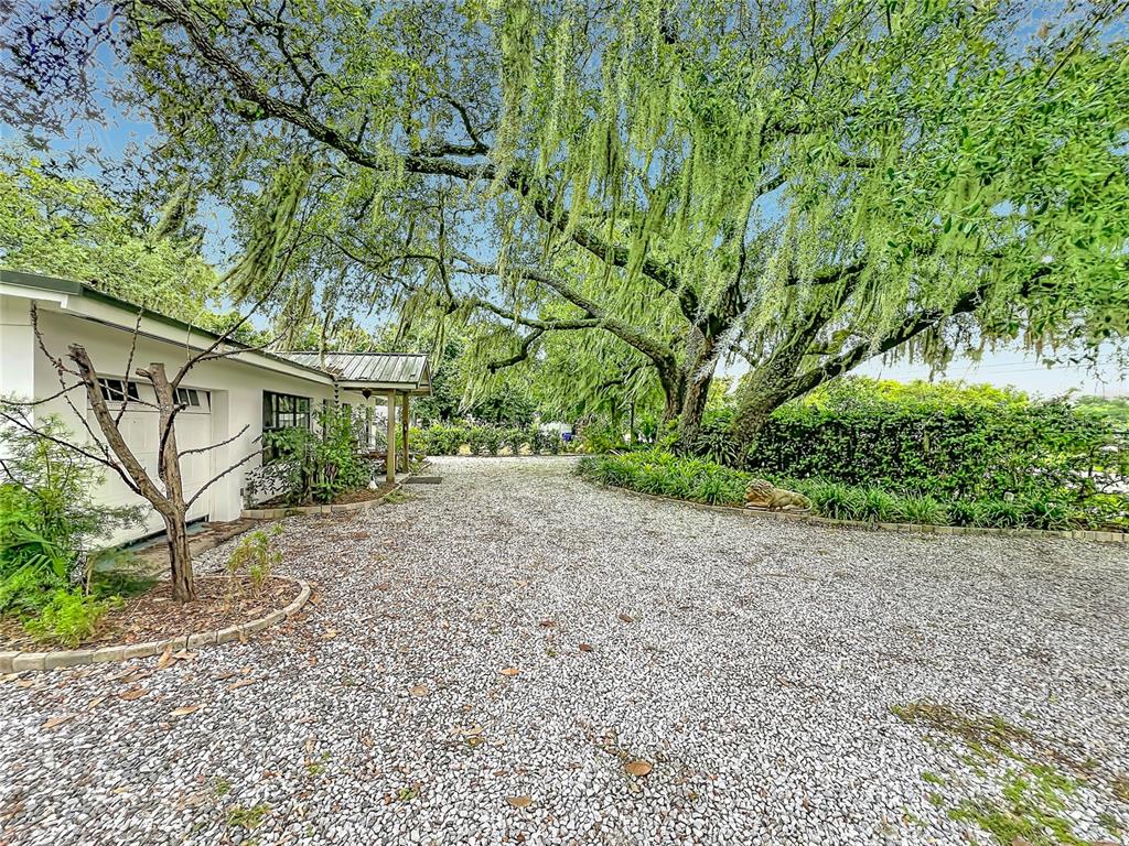 A gravel driveway leads to a white house shaded by a large moss-draped oak tree — 3851 S SANFORD AVENUE, SANFORD, FL