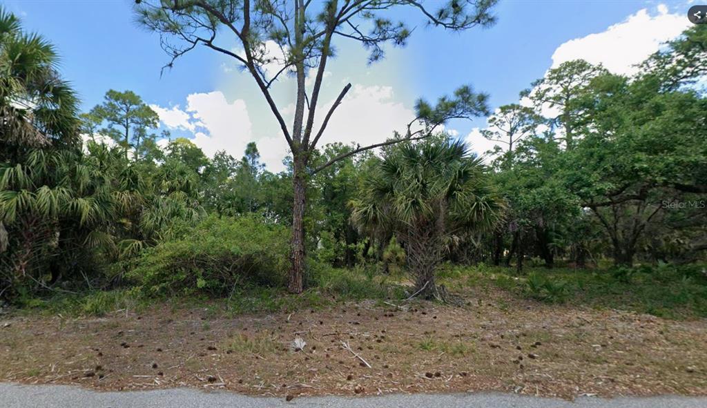 A wooded, undeveloped residential lot features tall pine trees and native Florida palm vegetation — 18362 SAGAMORE AVENUE, PORT CHARLOTTE, FL