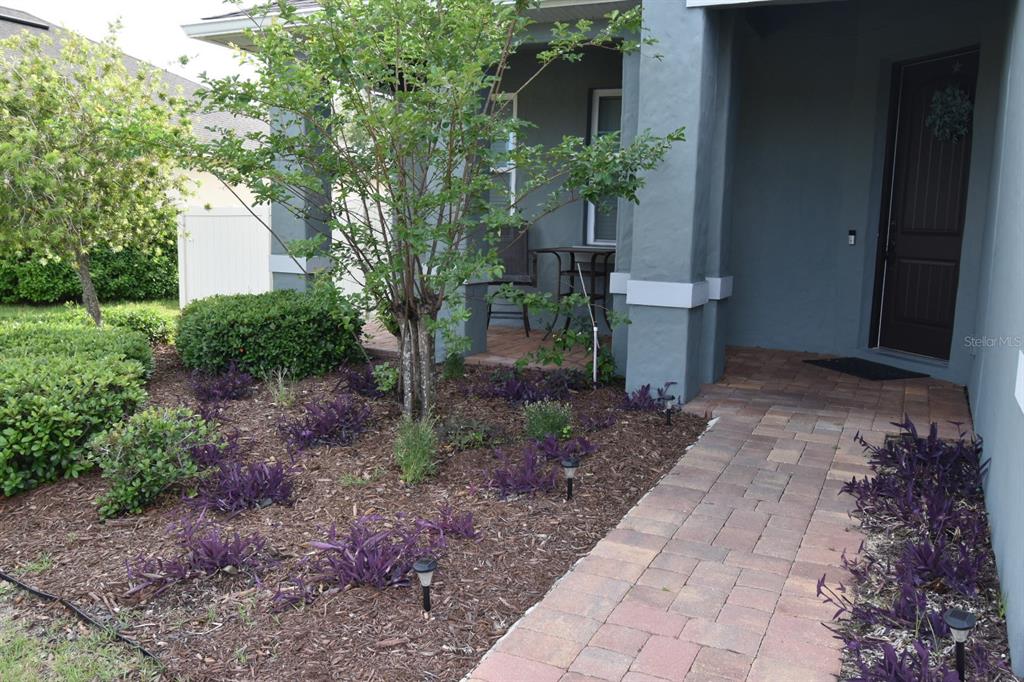 A paved walkway leads to the covered front porch of a house with purple landscaping — 709 CALABRIA WAY, HOWEY IN THE HILLS, FL