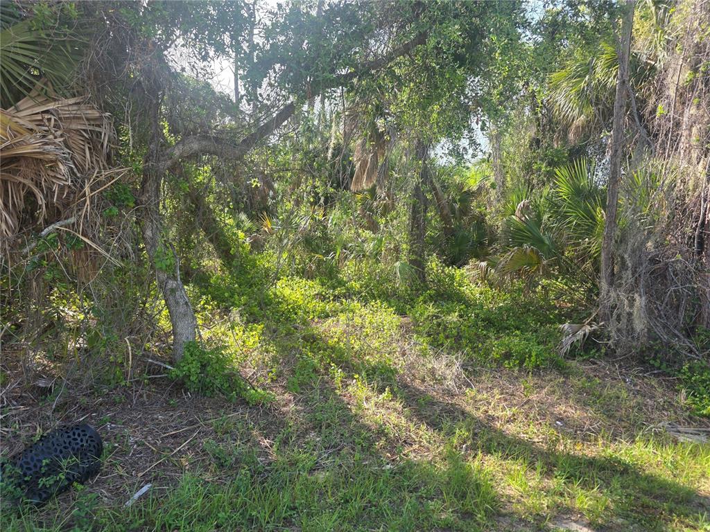 A dense, wooded lot with various trees, palms, and low-lying vegetation — PRIME TERRACE, NORTH PORT, FL
