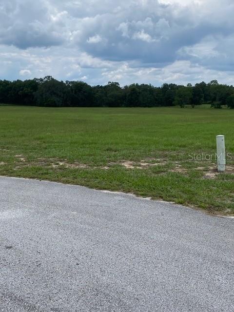 A paved road borders a large, grassy vacant lot with a utility post — 5698 QUICKSILVER, FLORAL CITY, FL