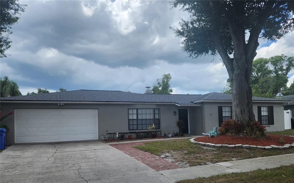 A dark blue front door with a small arched window sits under a porch light — 13346 MORAN DRIVE, TAMPA, FL