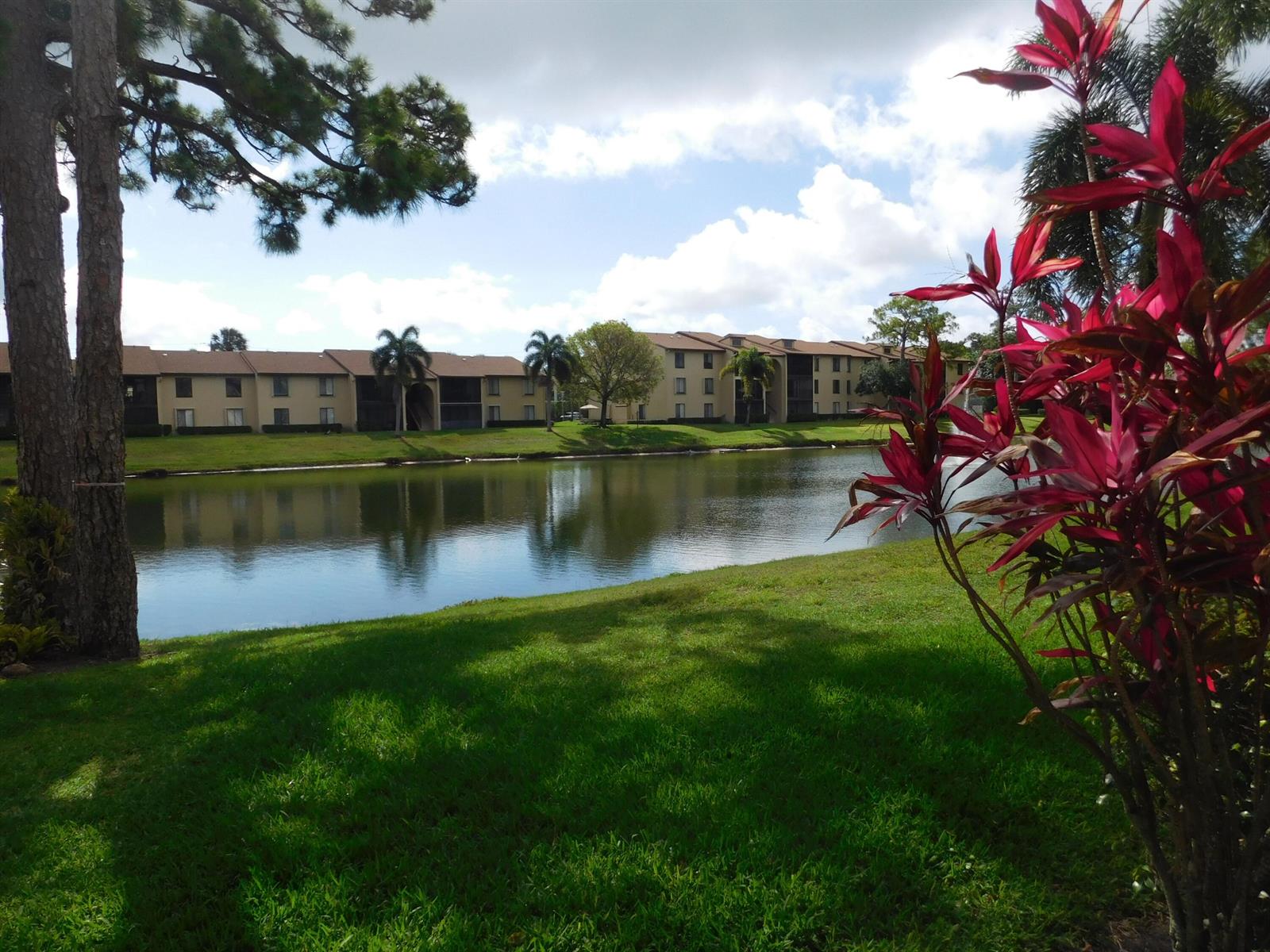 A pond sits in front of apartment buildings with a large tree and red-leafed plant — 627 Sea Pine Way # A2, FL 33415, FL