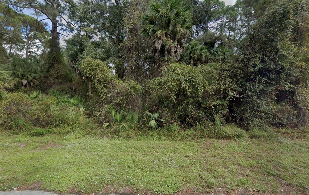 A dense, overgrown wooded lot with various trees and shrubs viewed from a grassy roadside — 387 MILTON STREET, PORT CHARLOTTE, FL