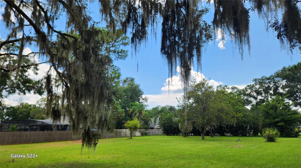 A large, grassy backyard features mature trees draped with Spanish moss and a wooden fence — 1048 USTLER ROAD, APOPKA, FL