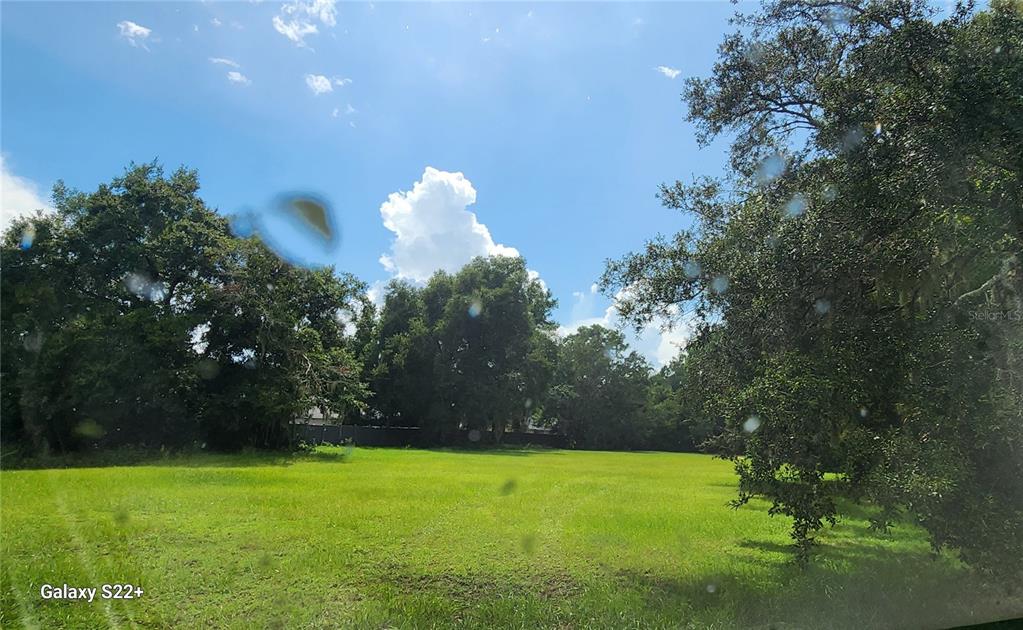 A grassy, open lot is surrounded by mature trees under a bright, partly cloudy sky — 1048 USTLER ROAD, APOPKA, FL