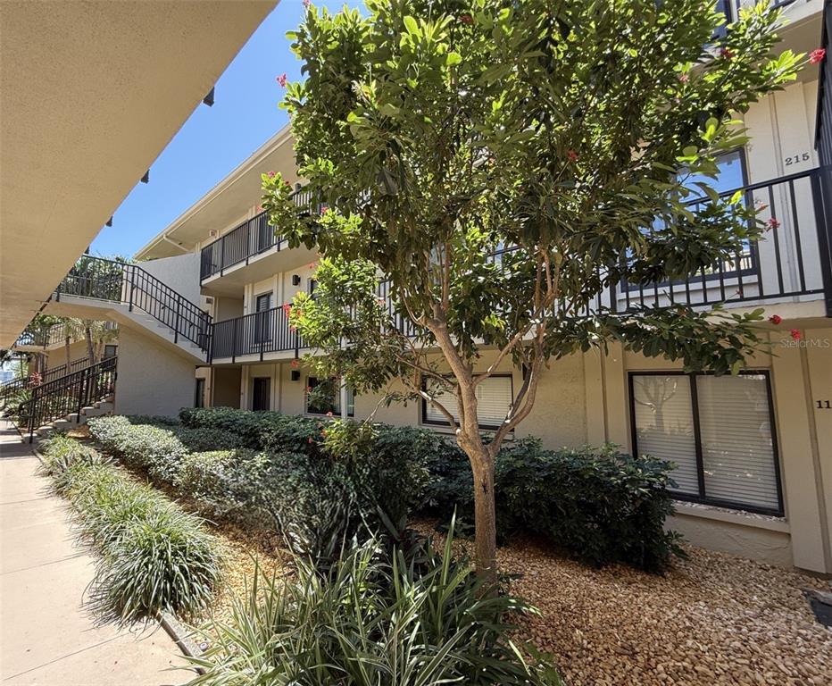 Exterior view of a multi-story apartment building with a staircase, landscaping, and a tree — 6322 PALMA DEL MAR BOULEVARD S UNIT 213, ST PETERSBURG, FL