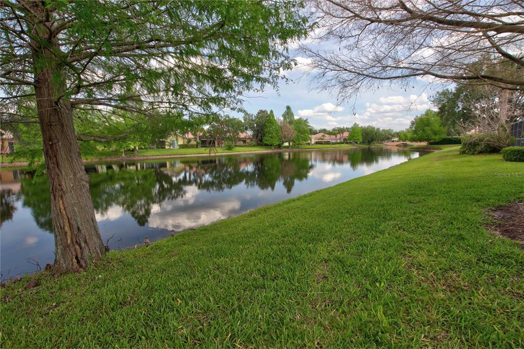 A grassy lawn slopes down to a calm pond surrounded by trees and residential homes — 11801 FAN TAIL LANE, ORLANDO, FL